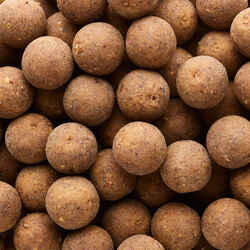 Carp Fishing Boilies XTREM 900 20 mm 1 kg Hempseed - Tiger nuts