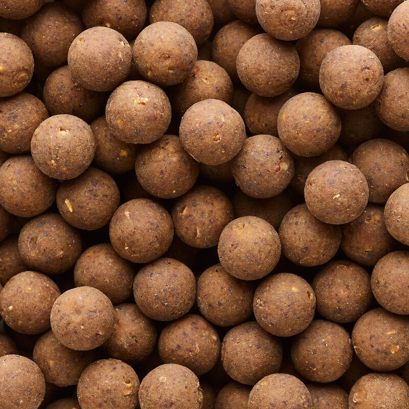 Boilies voor karpervissen XTREM 900 14 mm Hennepzaad - Tijgernoten 1 kg