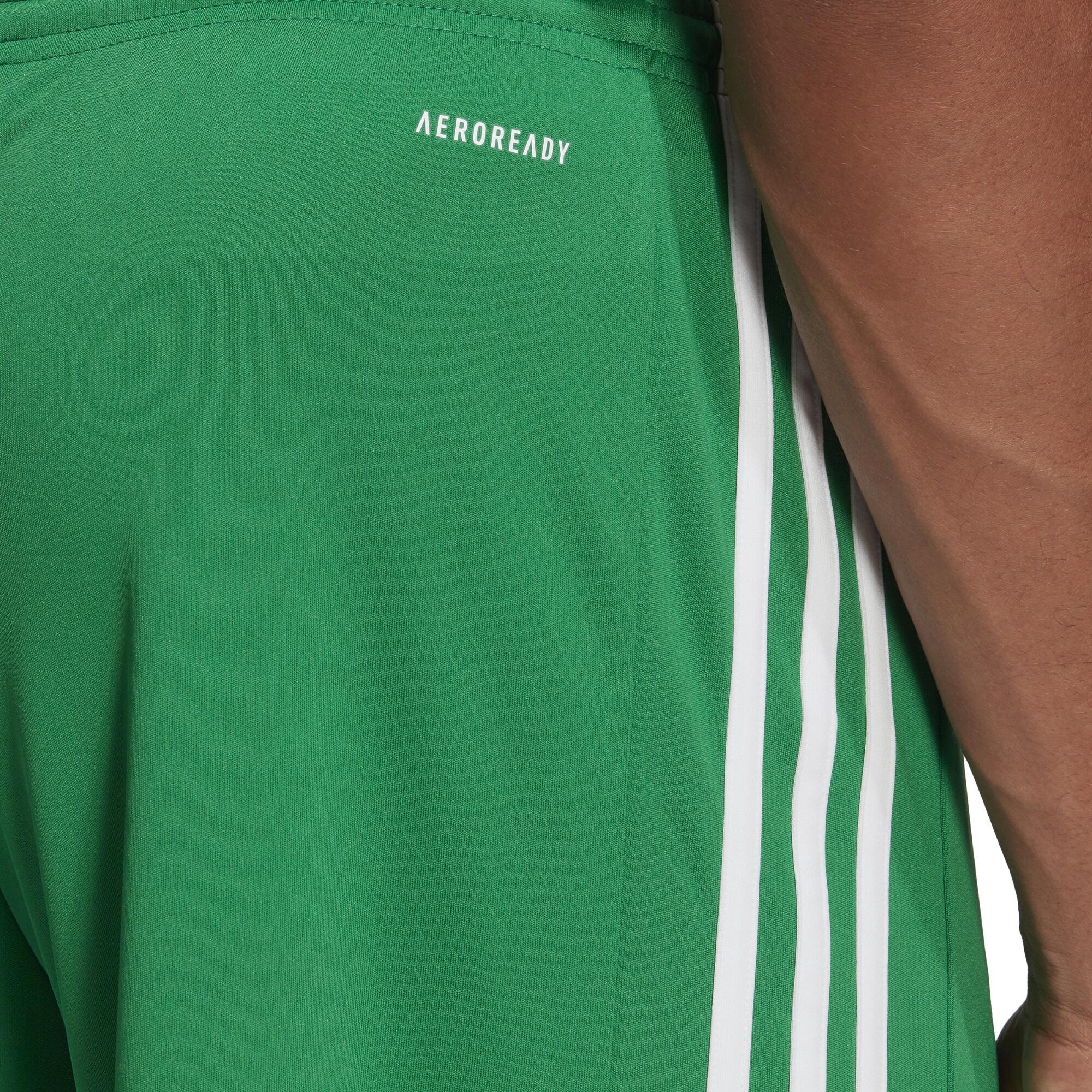 Adult Football Shorts Squadra - Green 2/3