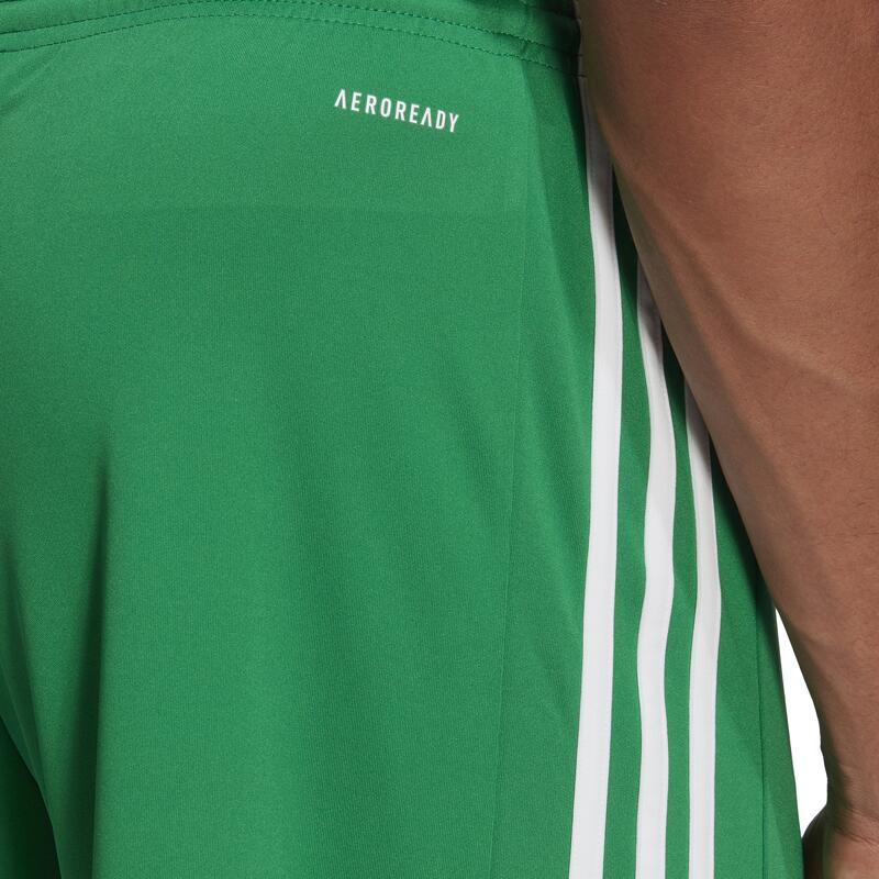 Pantaloncini calcio uomo Adidas SQUADRA verdi