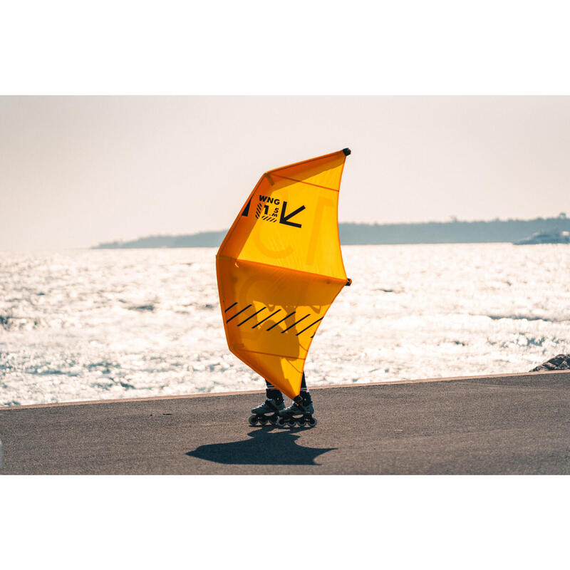 ASA DE WING 100 V2 - 1.5m²