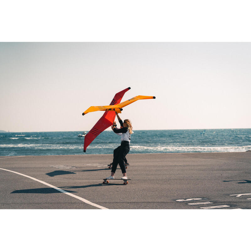 WING 100 - 1,5 m²