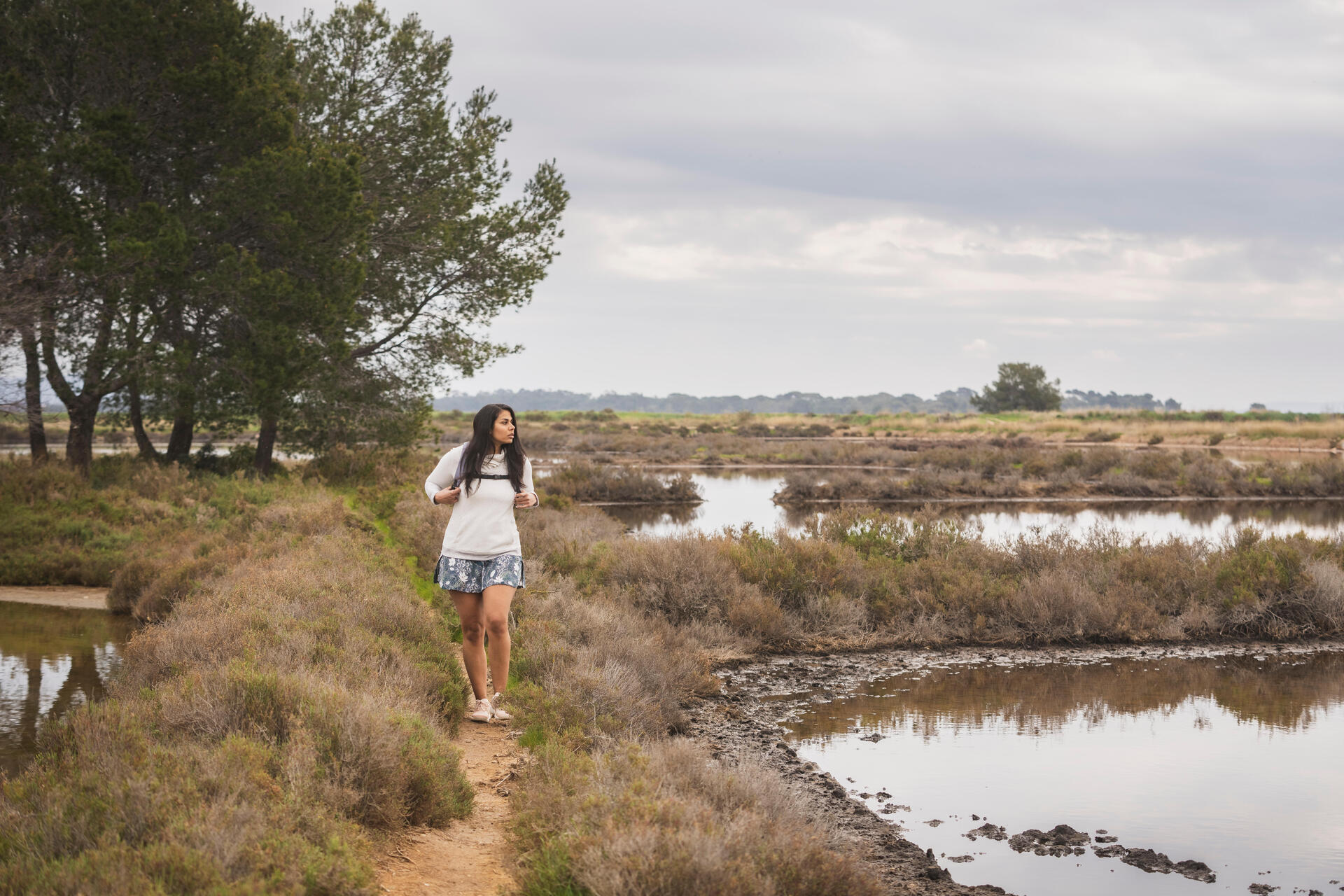 Wandelroutes in Friesland