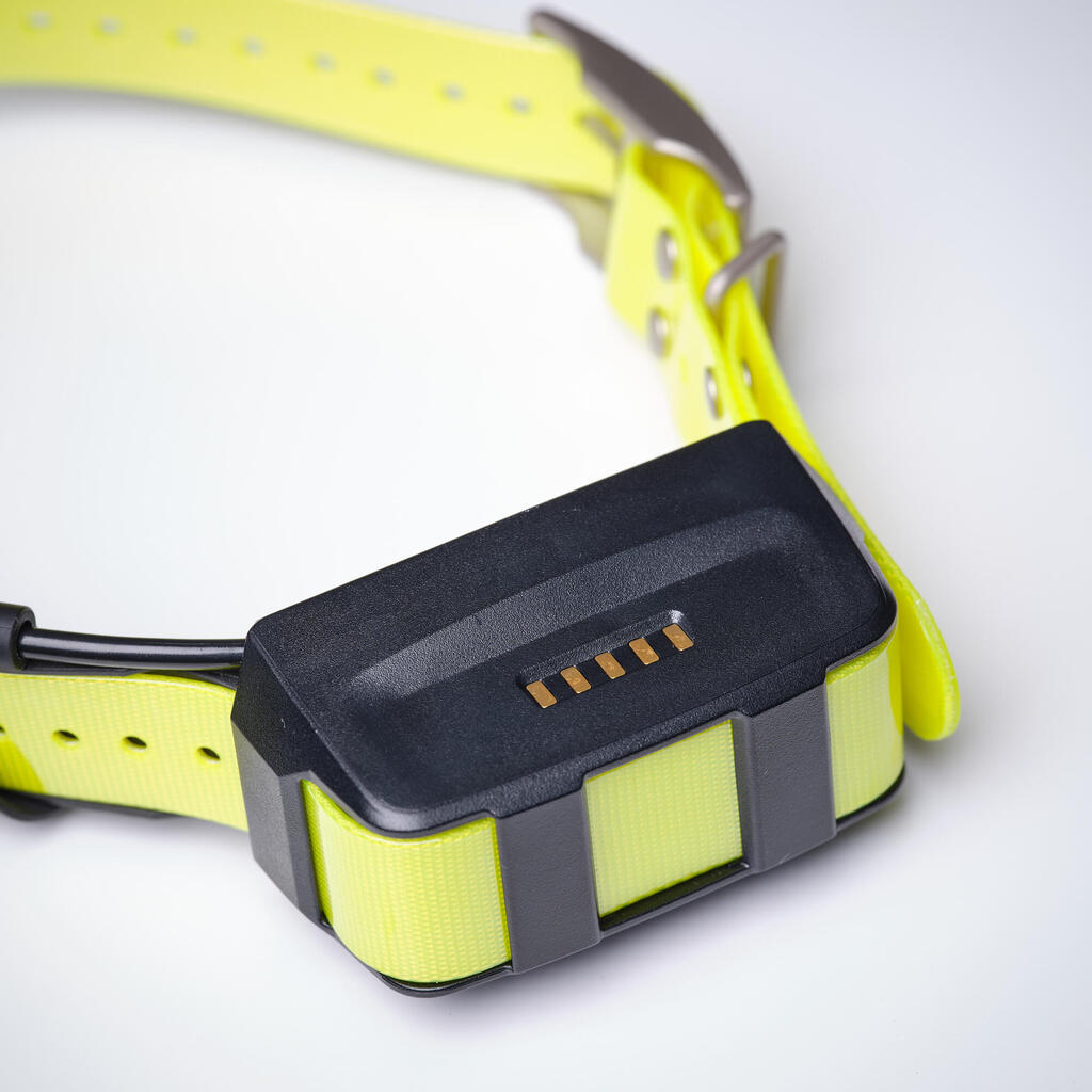 Additional tracking collar for dogs Garmin T5X