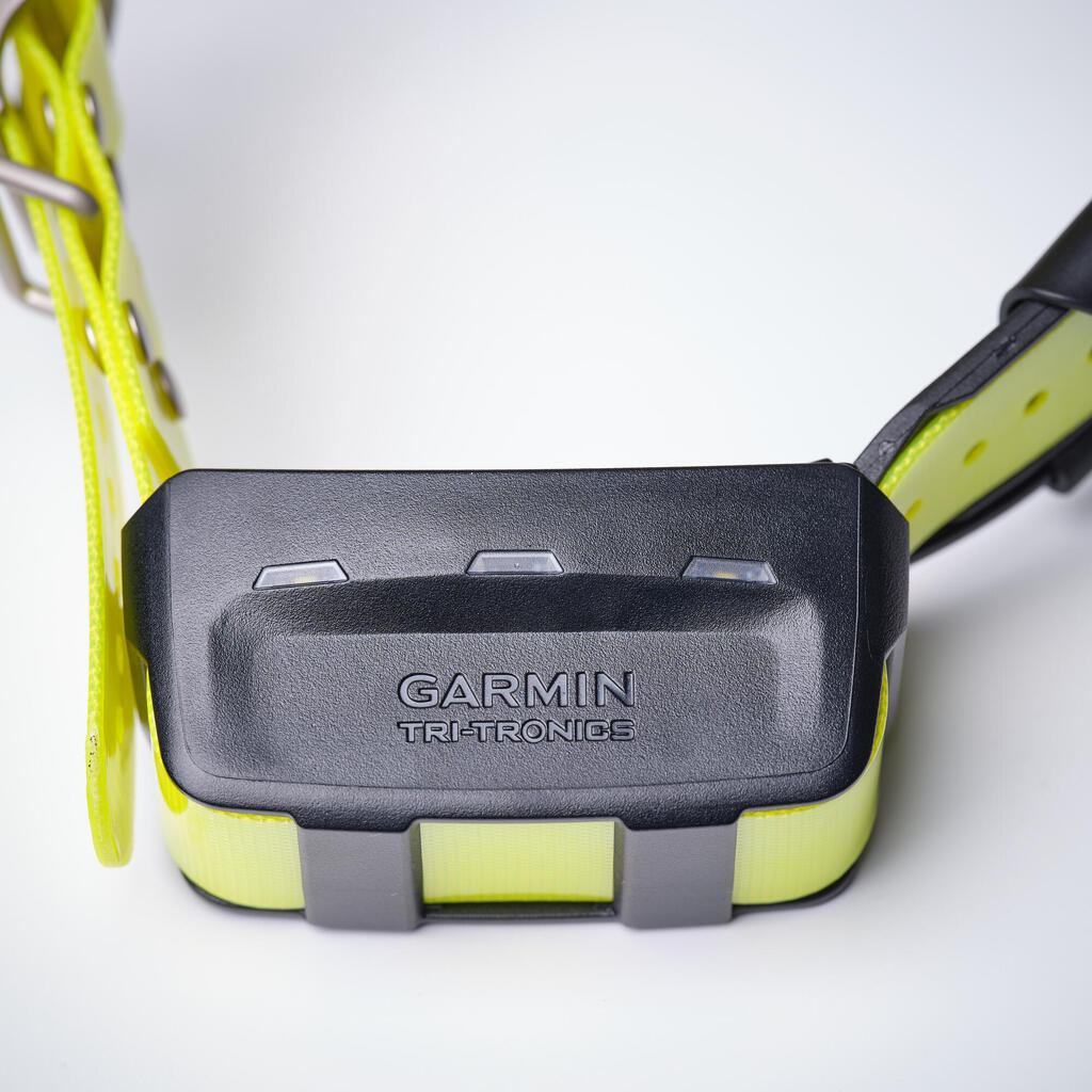 Additional tracking collar for dogs Garmin T5X