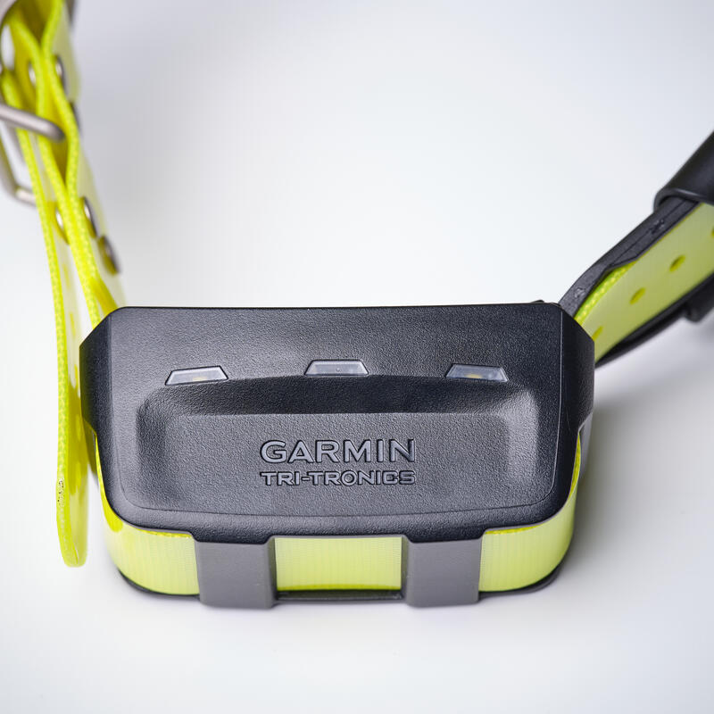 Collier supplémentaire de repérage pour chien Garmin T5X