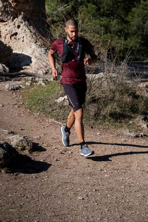 Zapatillas trail running Hombre TR gris