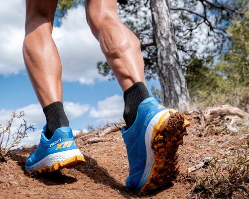 QUAND CHANGER SES CHAUSSURES DE TRAIL ?