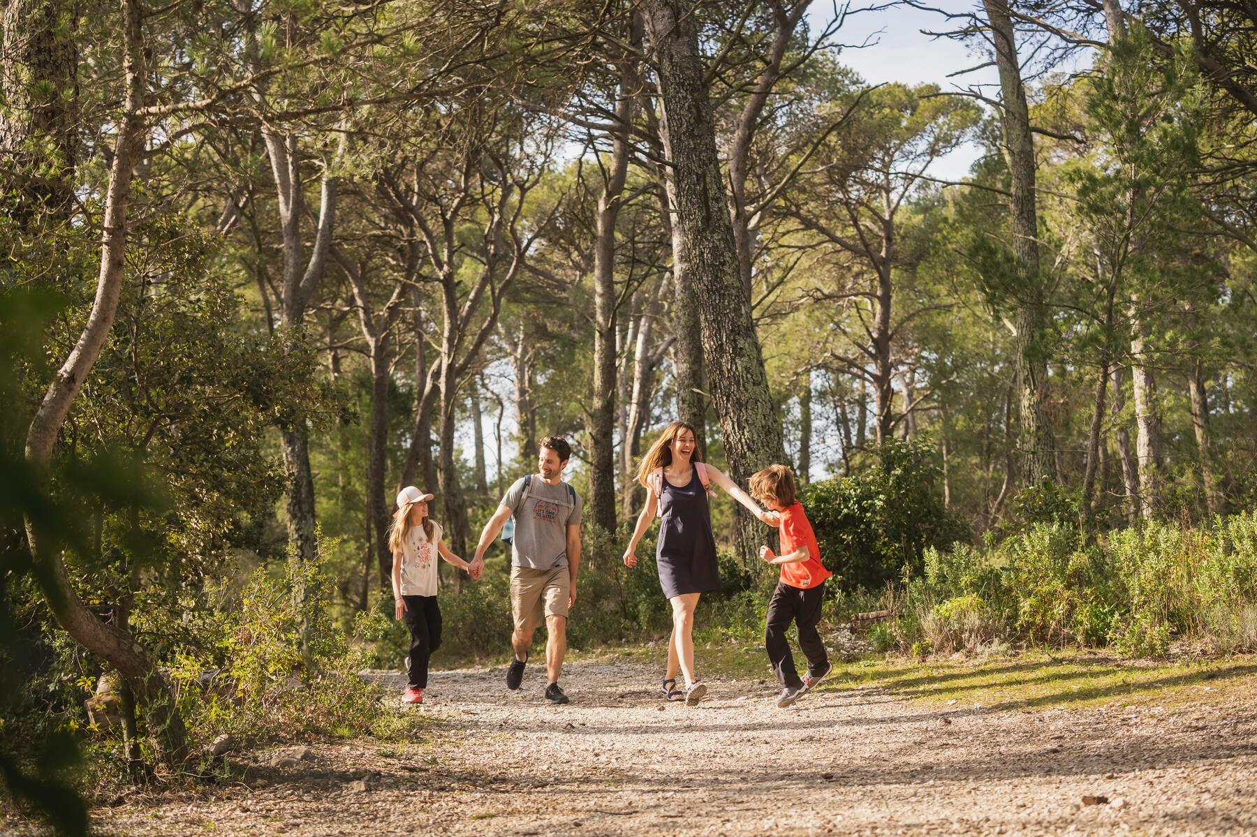 Wat zijn de mooiste wandelroutes in Nederland?