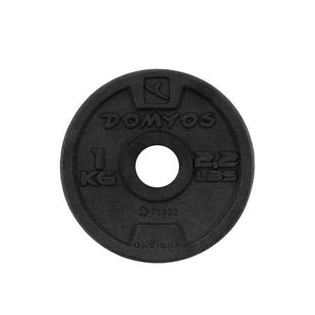 28 mm skersmens svarmenų diskai iš ketaus treniruotėms su svarmenimis