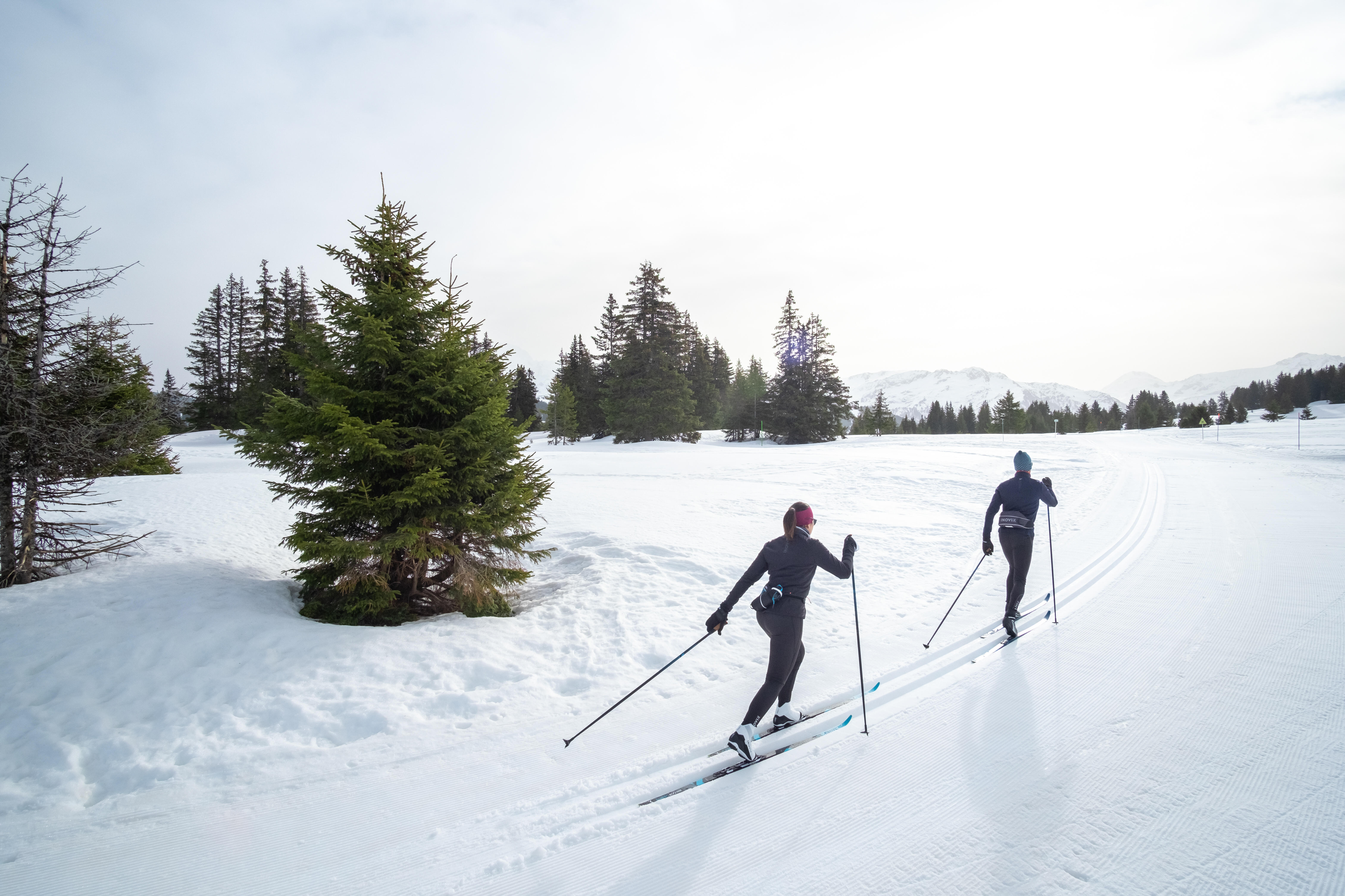 Classic Cross-Country Fish Scale Skis – XC S 150 - INOVIK