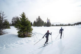 Guide d'entretien des skis de fond à écailles et à peaux