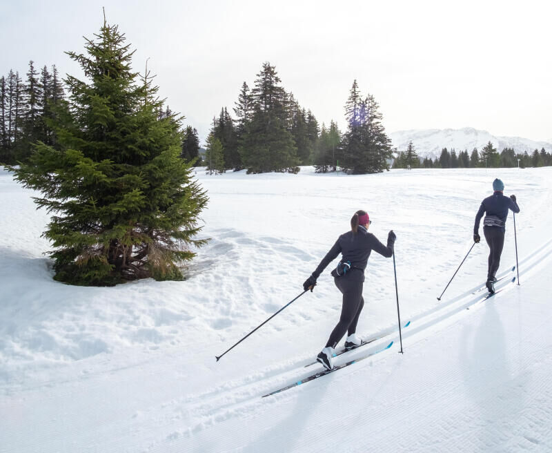 Guide d'entretien des skis de fond à écailles et à peaux