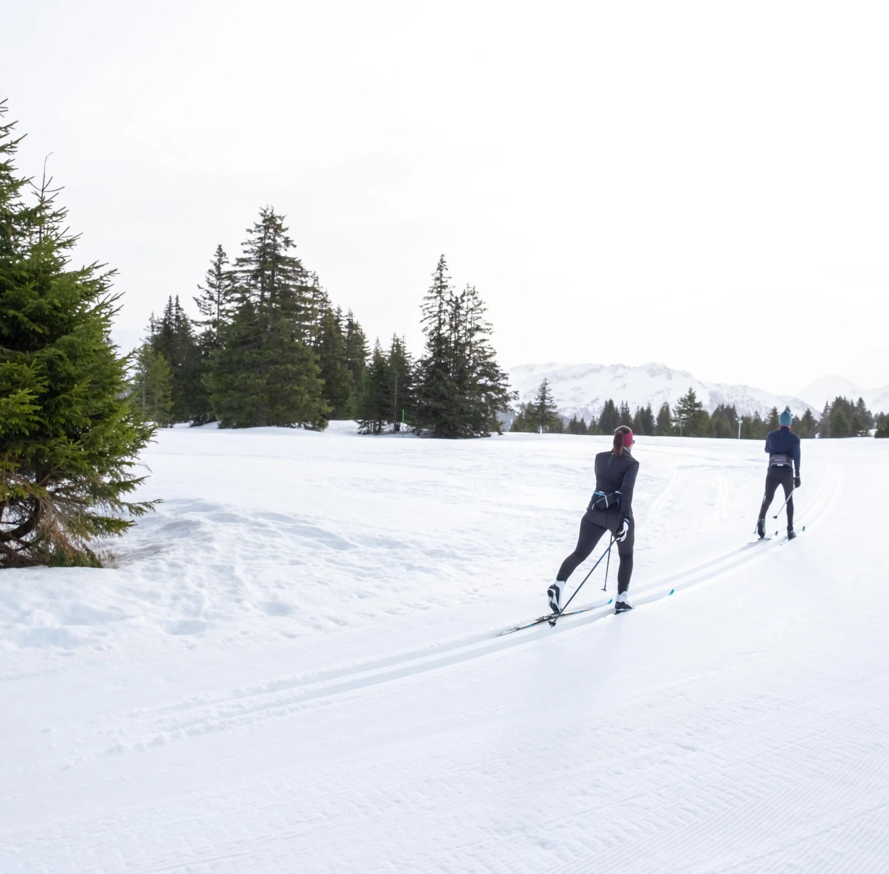 ski de fond skating