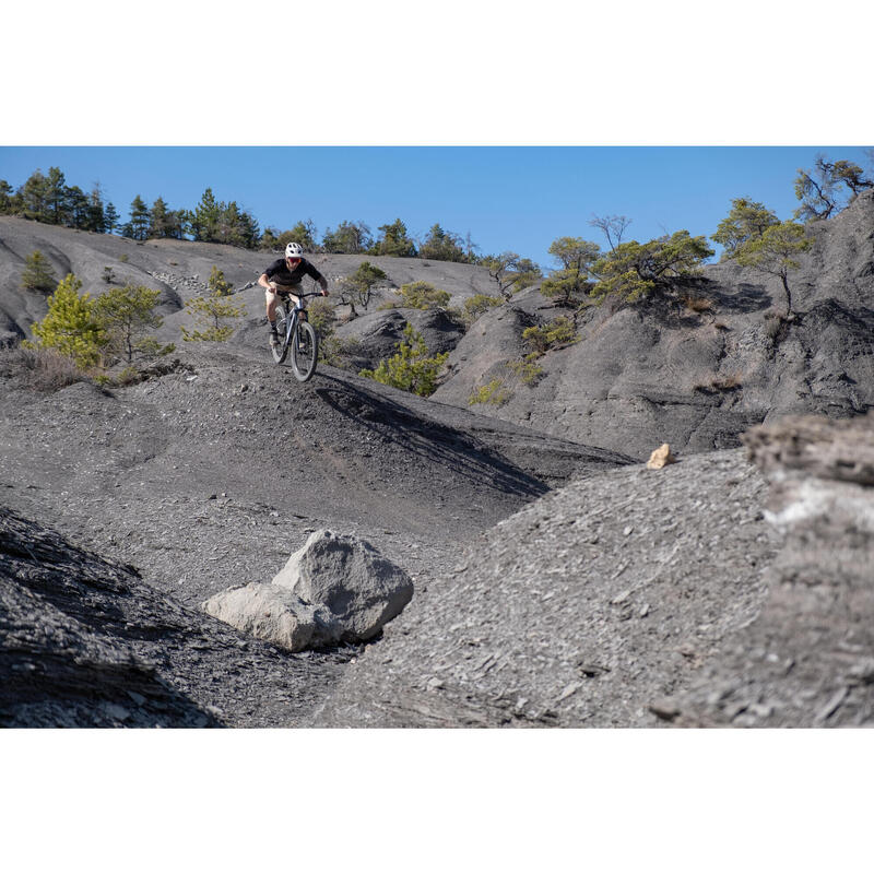 Horské kolo AM 100 Hardtail