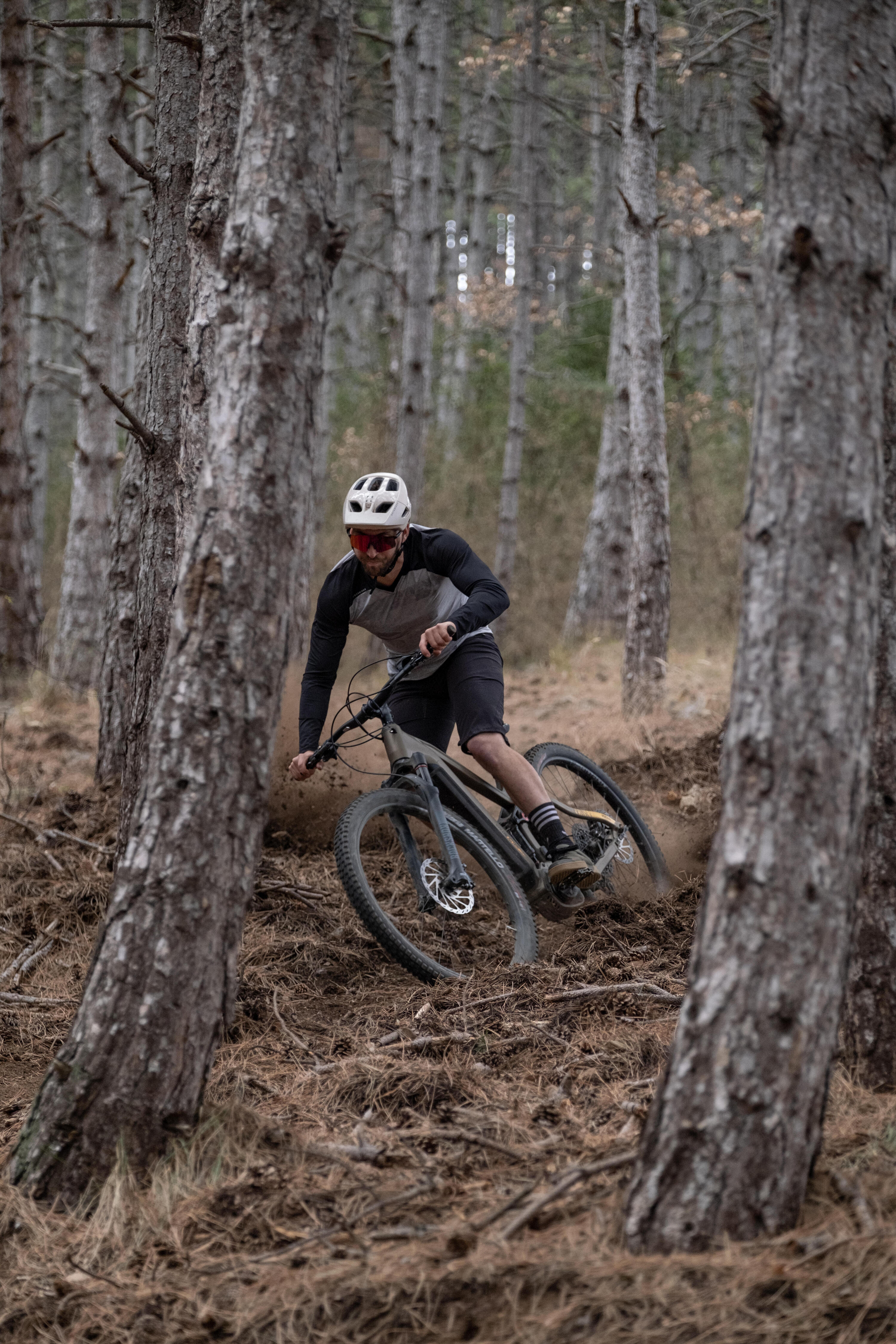 E-Mountainbike Fully 29 Zoll Stilus E-All Mountain Bosch Performance CX 11/14