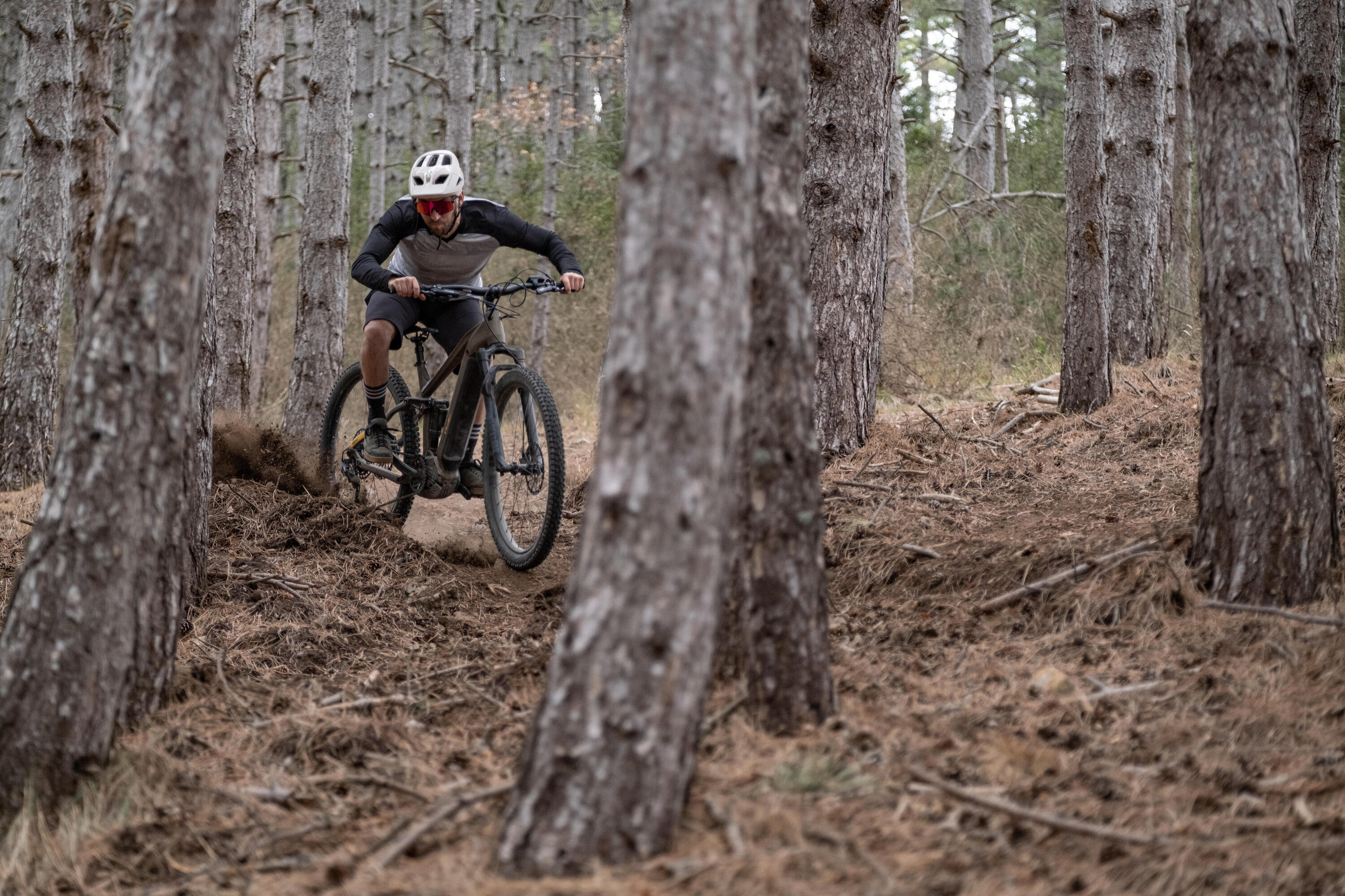 E-Mountainbike Fully 29 Zoll Stilus E-All Mountain Bosch Performance CX 10/14