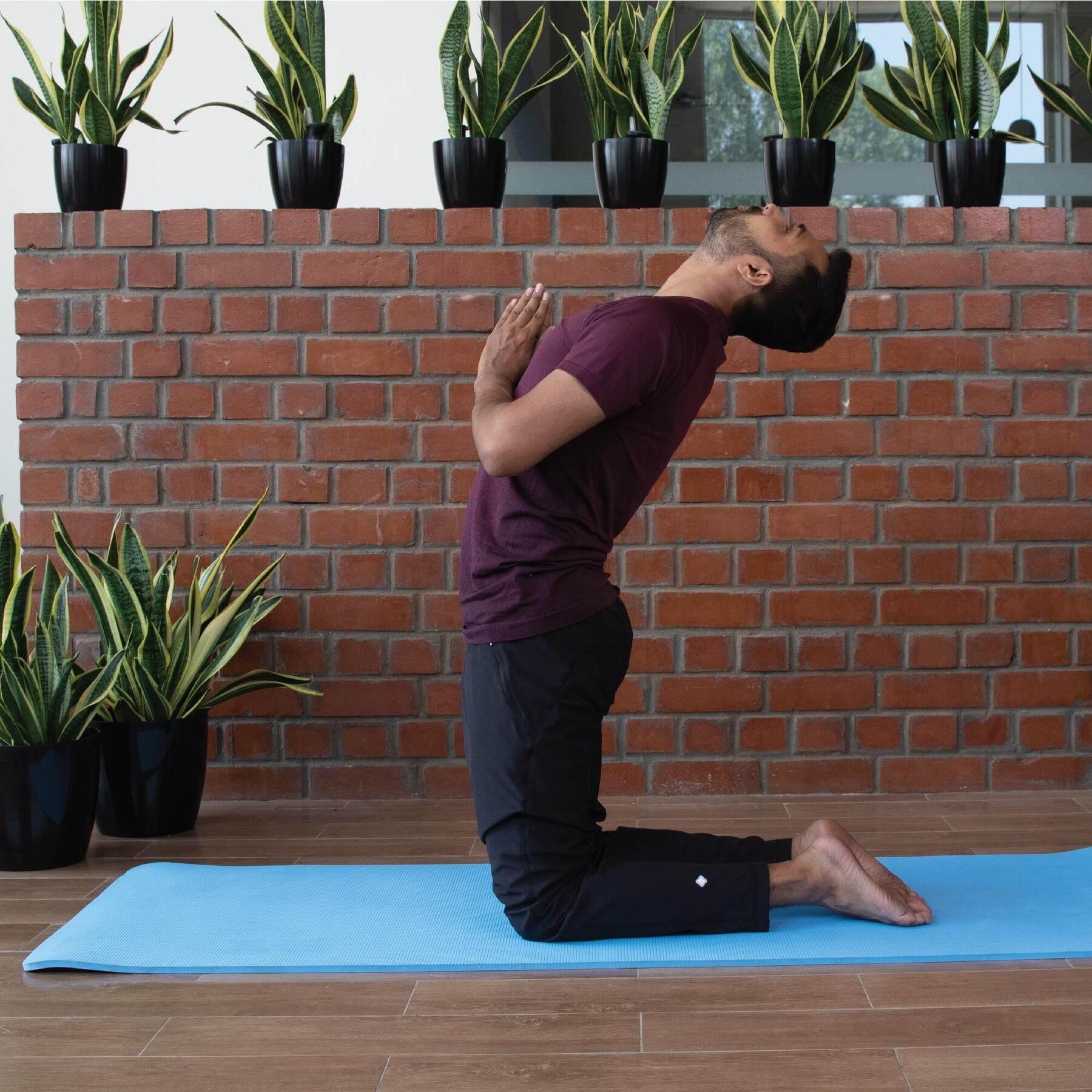 Das Yoga Kamel zum Brust dehnen