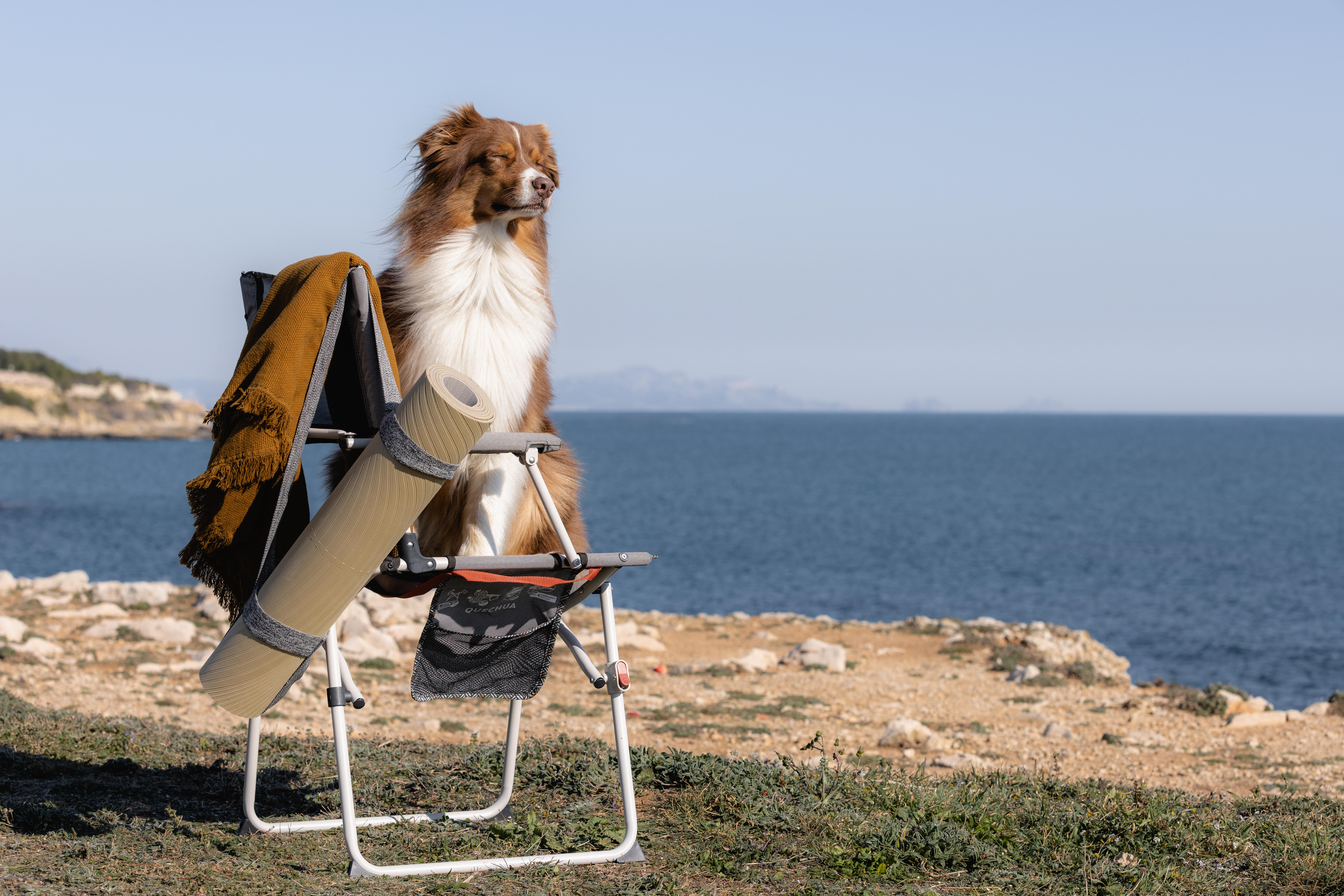 Dog sitting on a camping chair beside the coast with a rolled camping mat attached to the chair.
