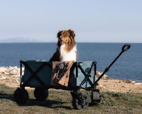 CHARIOT DE TRANSPORT TOUT TERRAIN POUR MATÉRIEL DE CAMPING