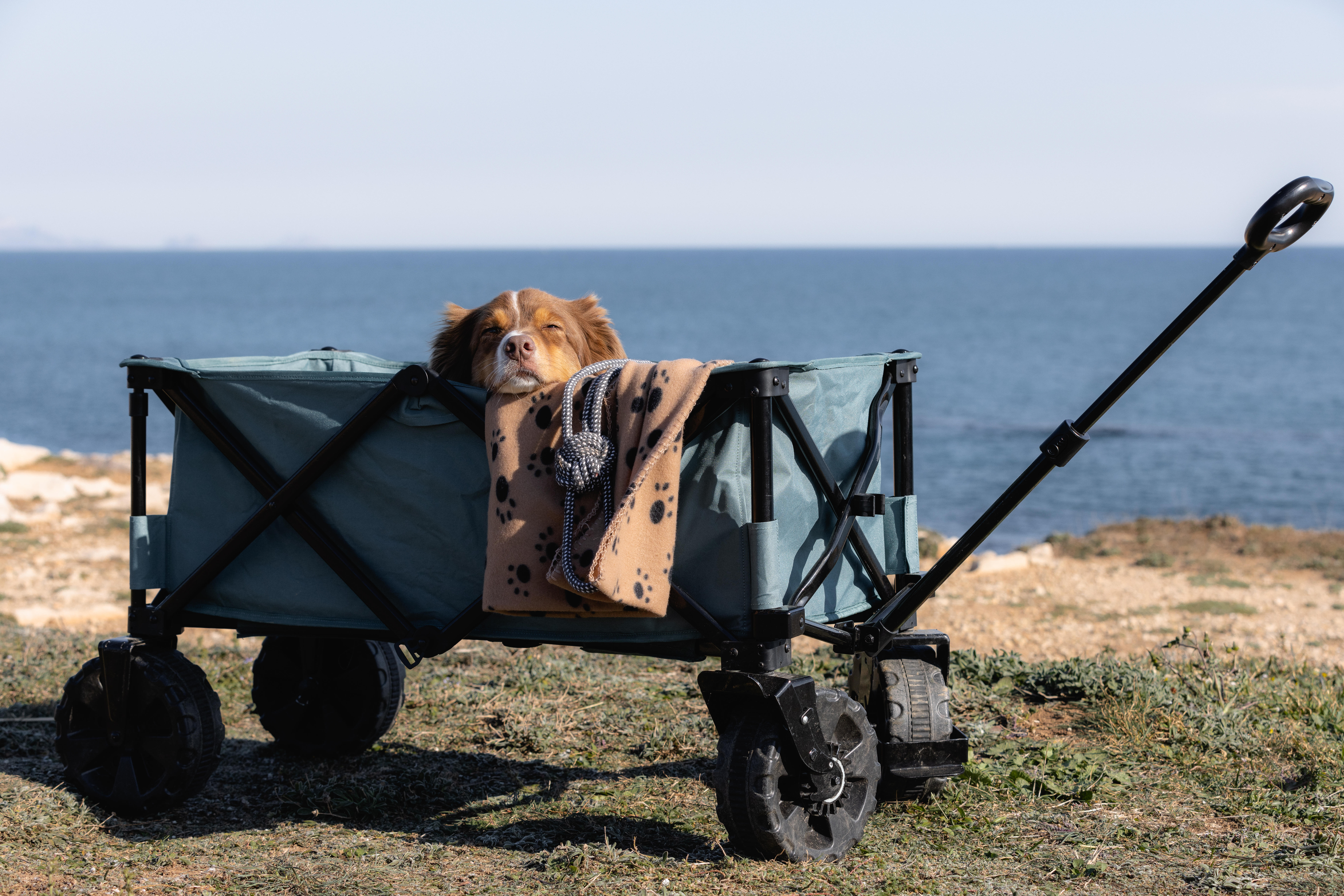 Camping All-Terrain Cart - Trolley All Road - QUECHUA