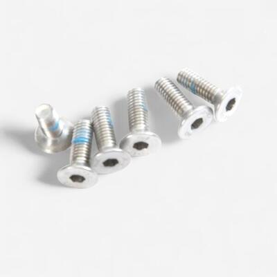 Schroevenset voor bamboeplanken cargofiets longtail r500 e