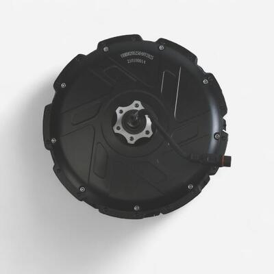 Motore 48V 250W nominale 685 Watt maxx bici cargo longtail R 500 E