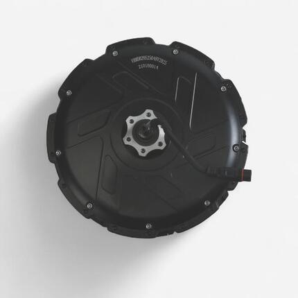 Motor 48 V 250 W Nennleistung 685 W Spitzenleistung für Cargobike R500E Longtail