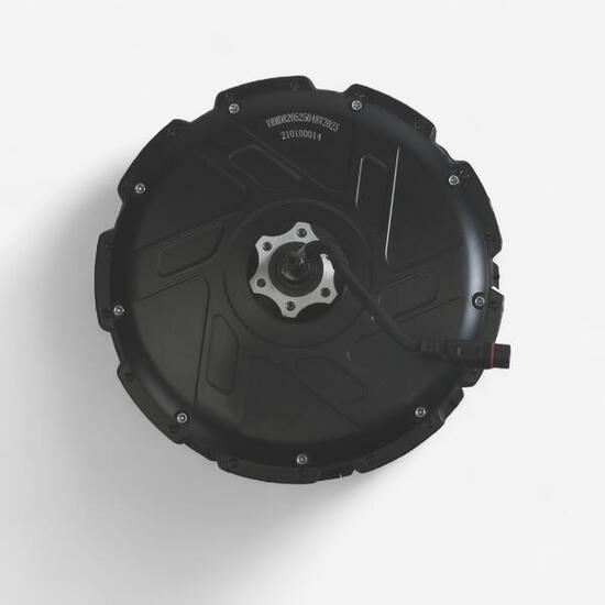 Motore 48V 250W nominale 685 Watt maxx bici cargo longtail R 500 E