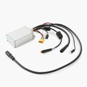 Controlador para patinete eléctrico R920E