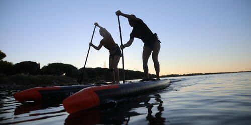 pagaia de carbono 900 stand up paddle race