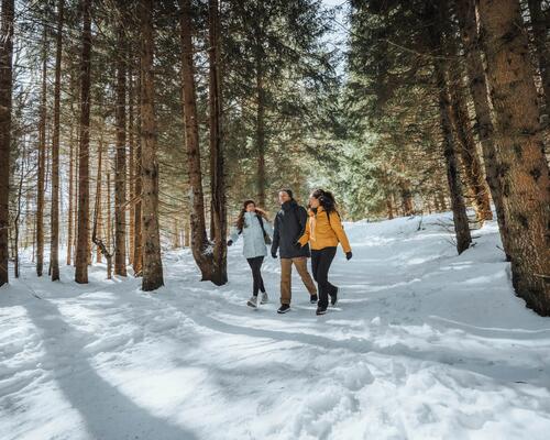 Bien choisir ses chaussures pour randonner en hiver - titre