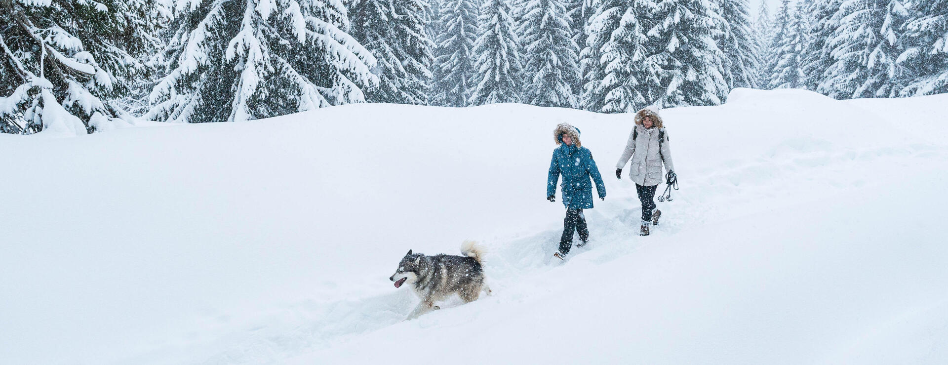 hiking-in-winter