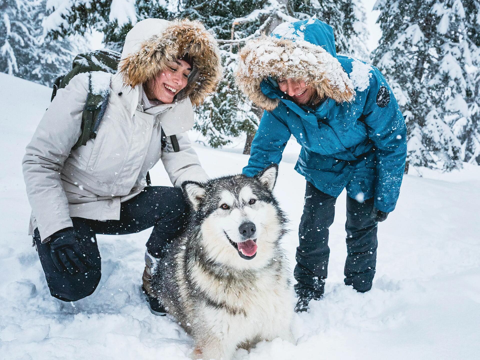 Abenteuer für deinen Hund und dich! Informiere dich über eine Schneeschuhwanderung mit deinem Hund!
