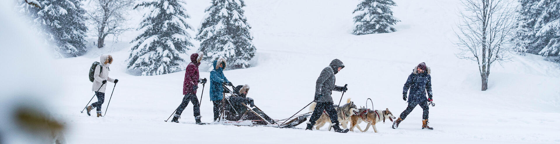 Retrouvez les informations sur la randonnée neige