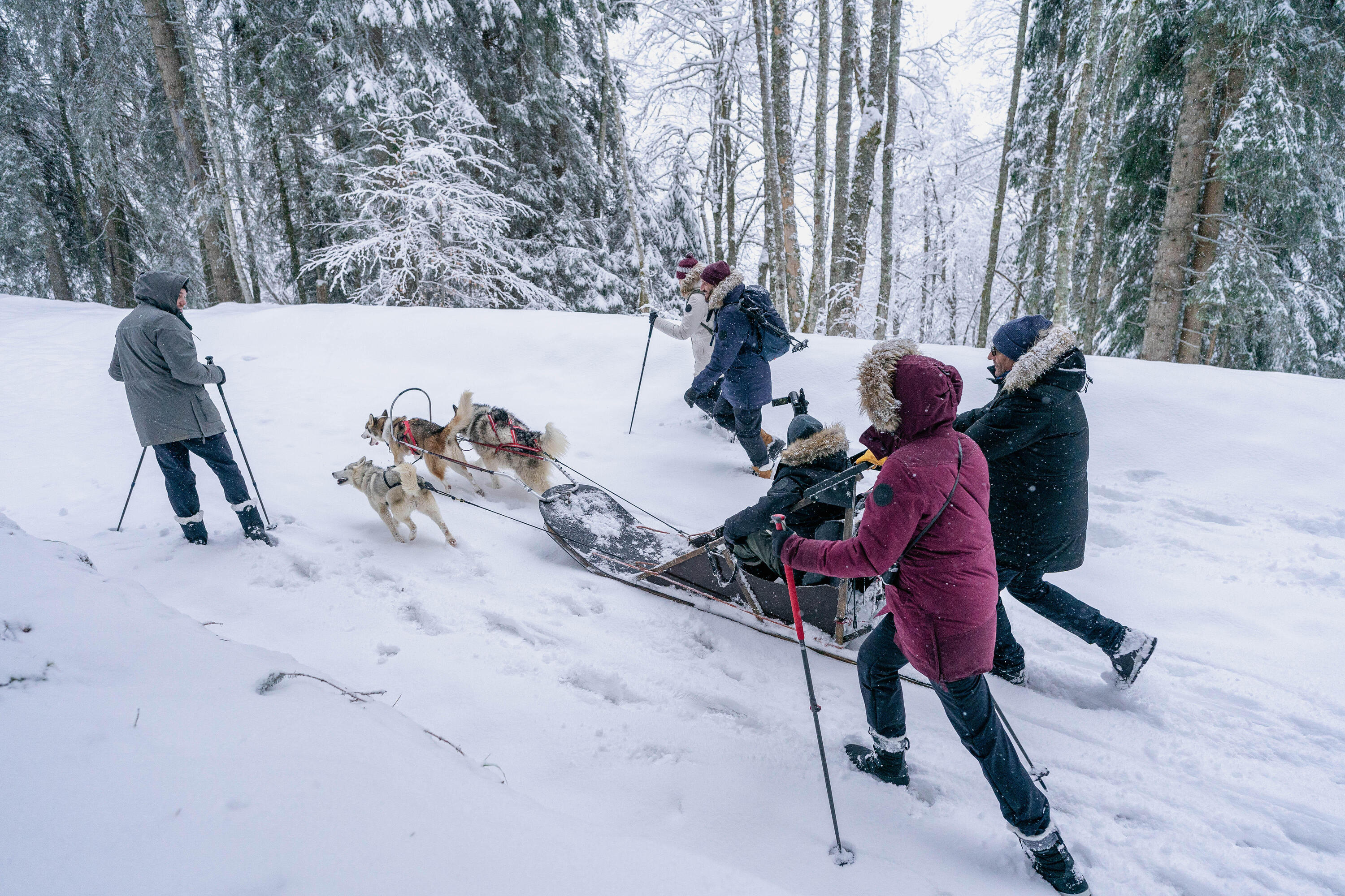 Warme wasserabweisende Damen-Wanderhose SH500, Schwarz 12/14