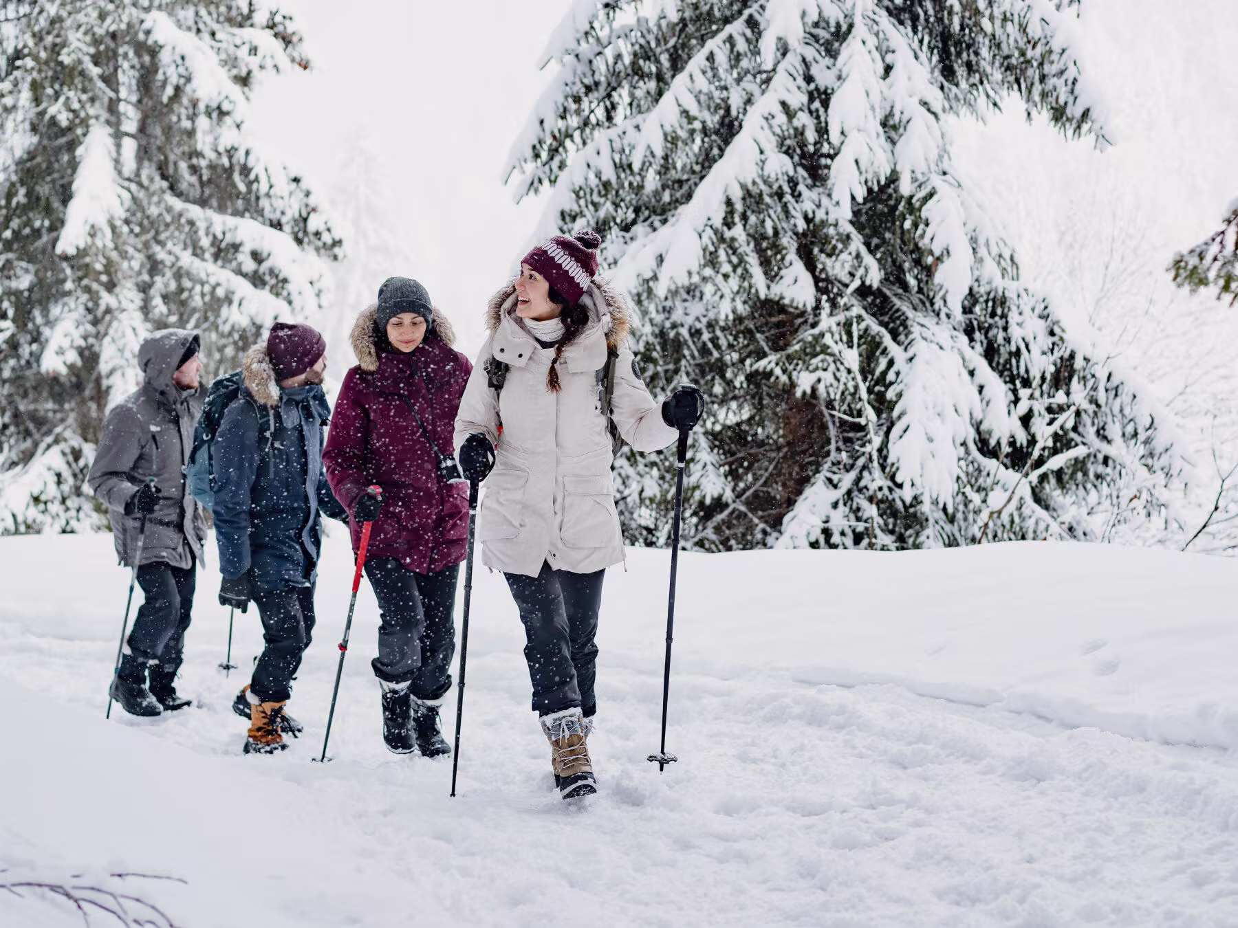 Groupe de personne pendant une rando dans la neige © Groupe de personne pendant une rando dans la neige