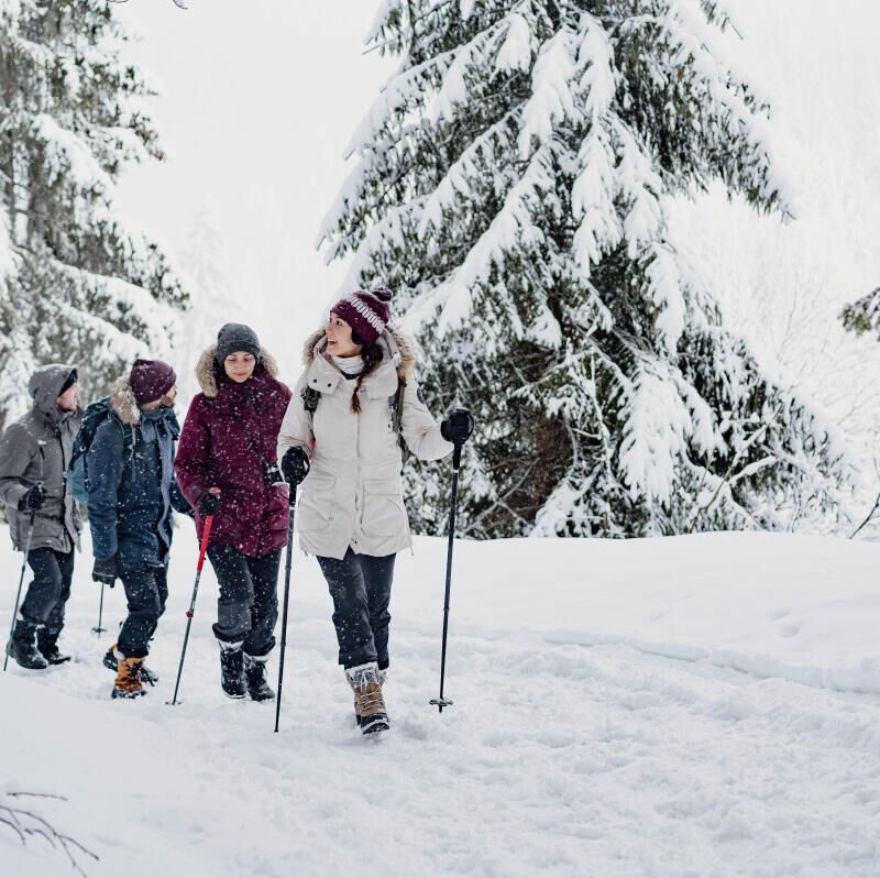 Randonnez tout l'hiver