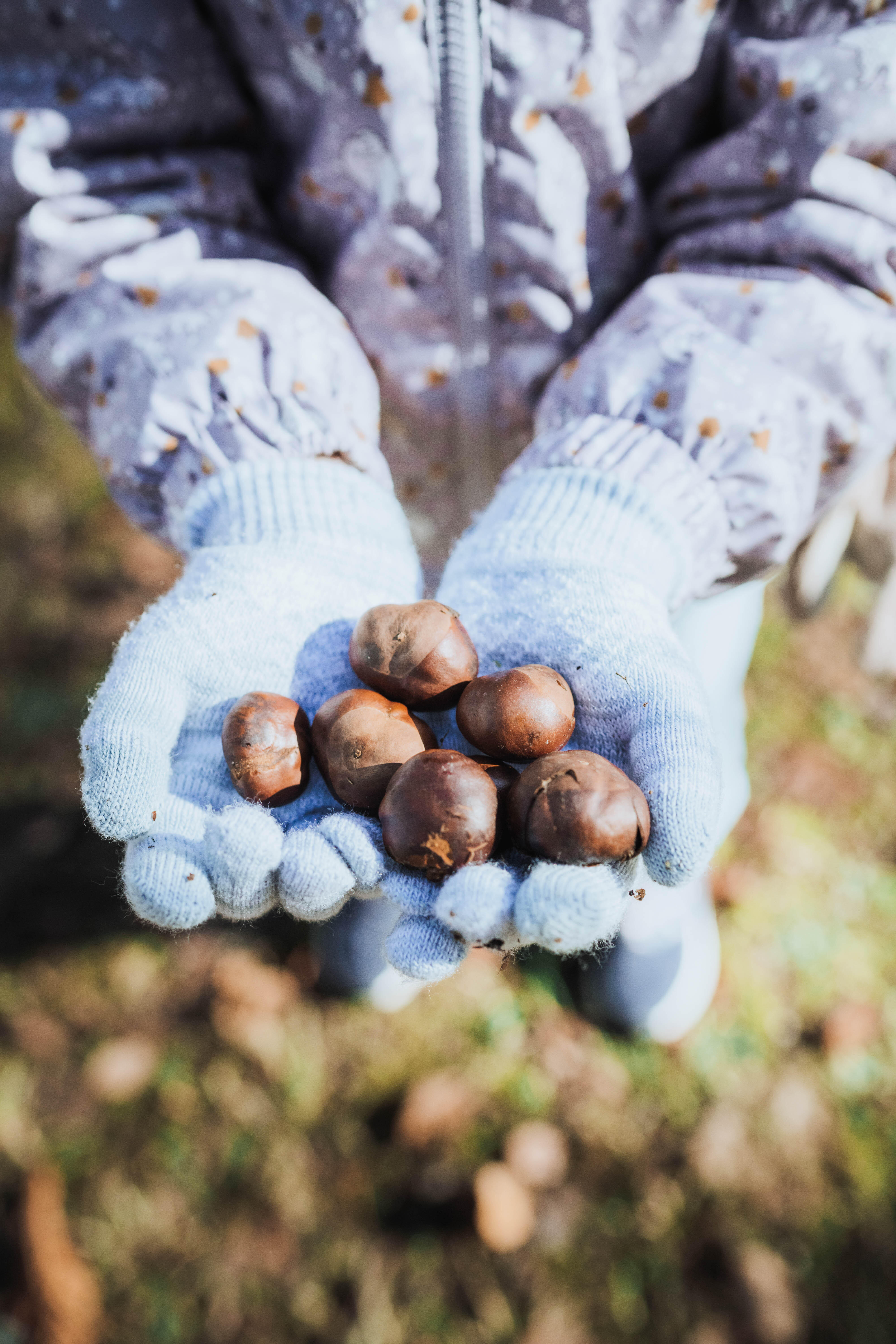 KIDS’ TOUCHSCREEN COMPATIBLE HIKING GLOVES - SH100 KNITTED - AGED 4-14 YEARS