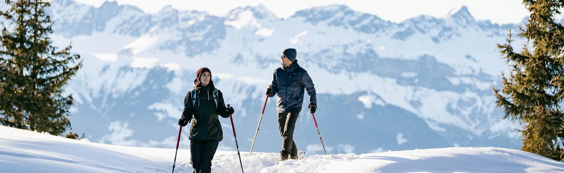 Reconnaître les empreintes d'animaux à la montagne