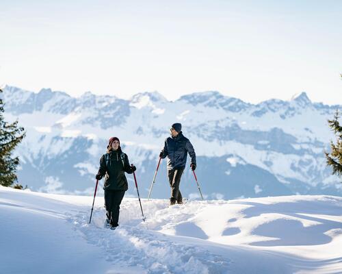 Reconnaître les empreintes d'animaux à la montagne