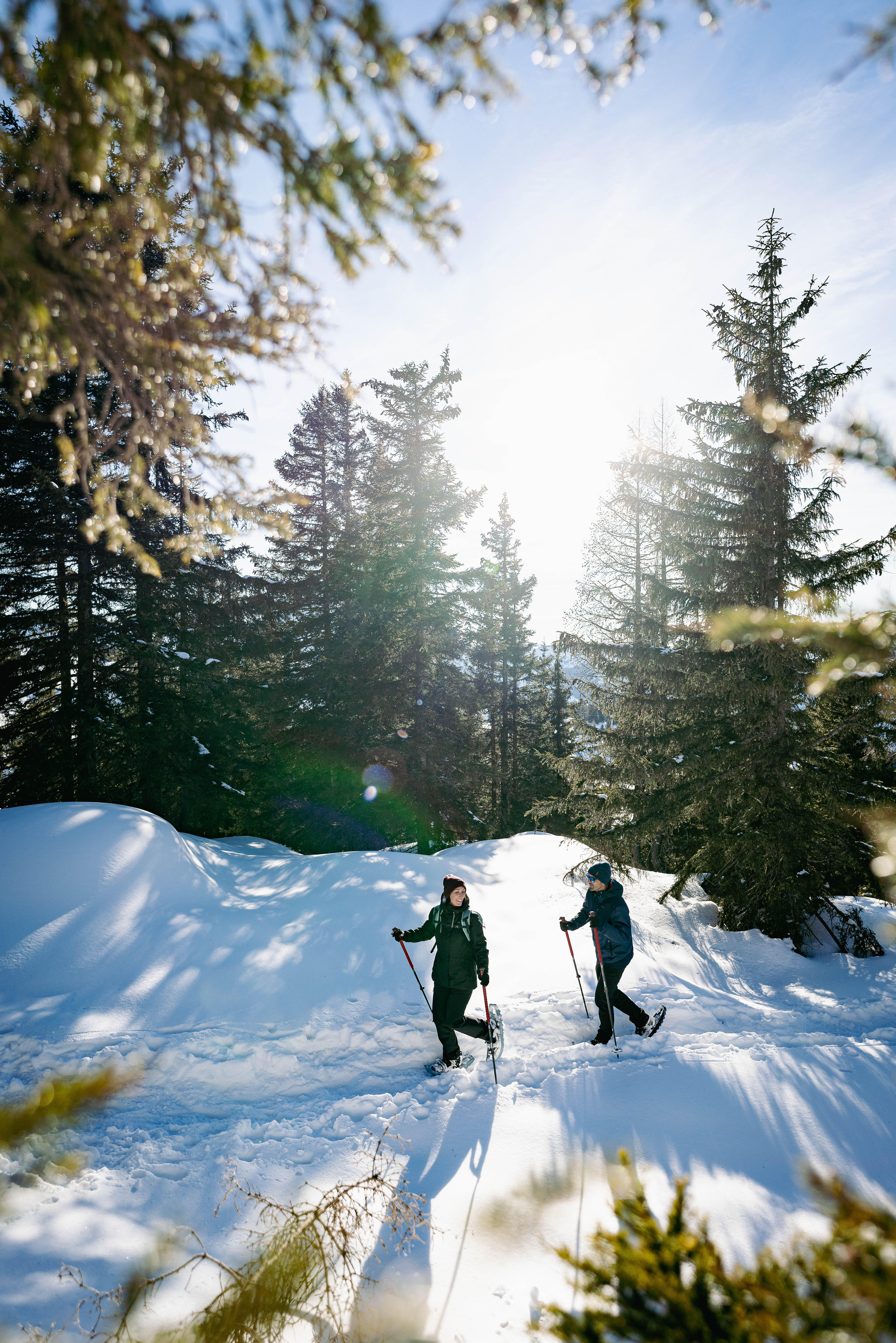 Raquettes à neige en grand format – SH 100 bleu - QUECHUA