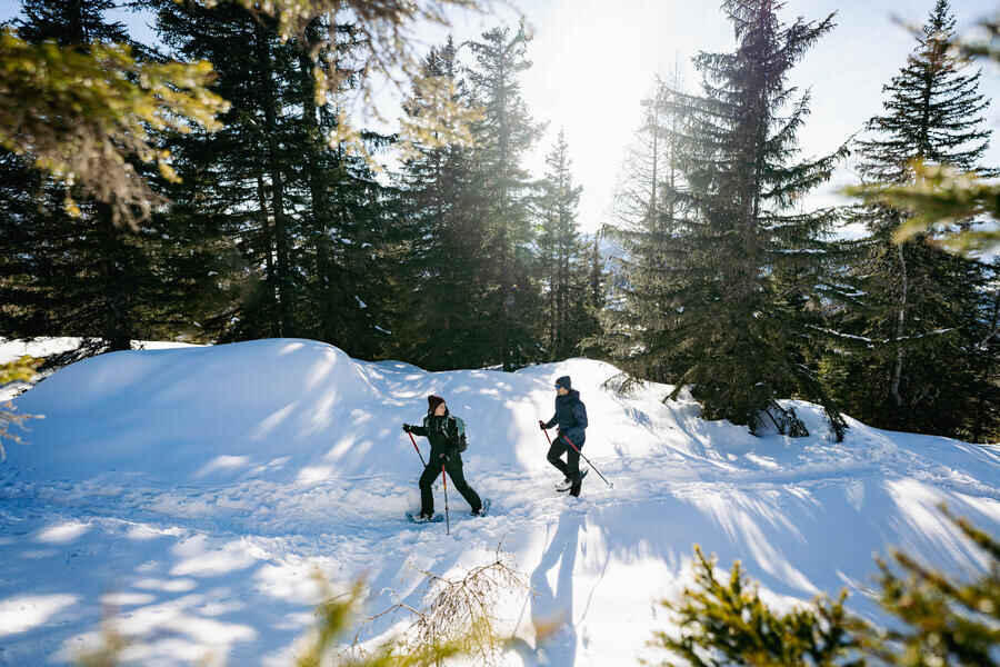 Discover snow hiking