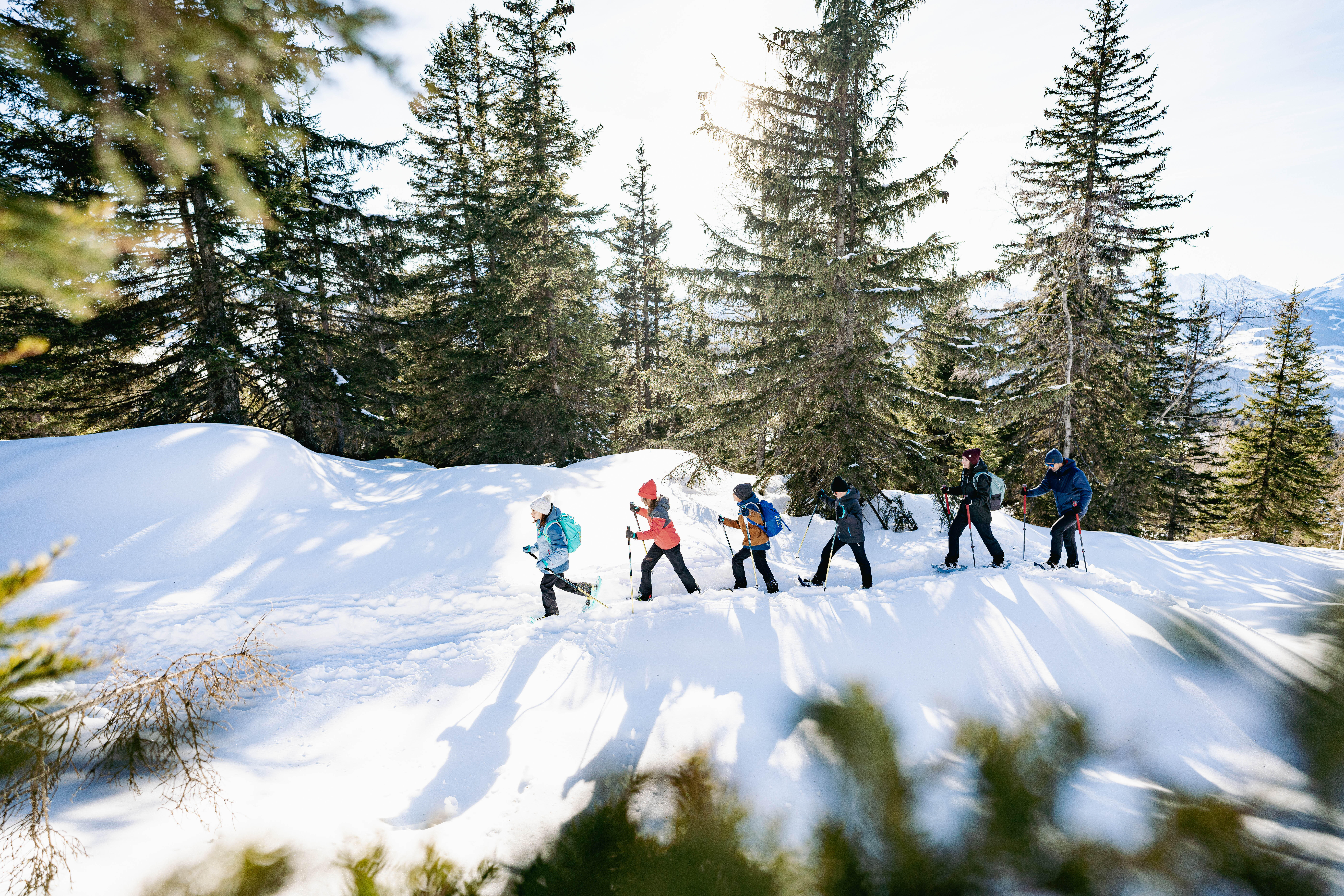 Snowshoes – SH 100 - QUECHUA
