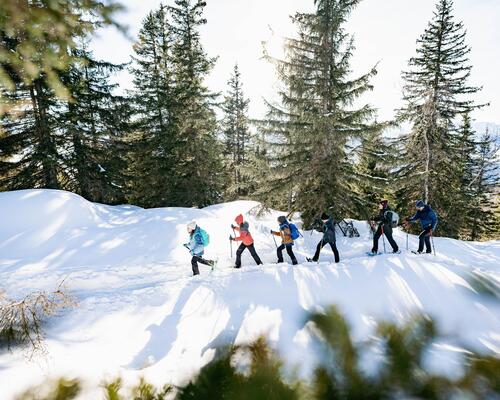 6 astuces pour bien utiliser ses raquettes à neige - titre