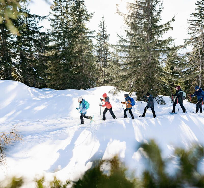 6 astuces pour bien utiliser ses raquettes à neige - titre