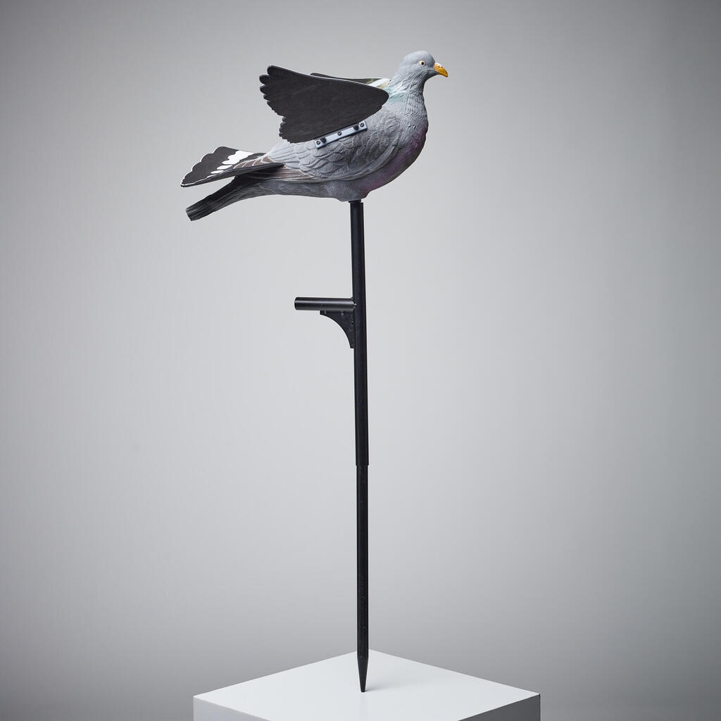 Balabán poletujúceho holuba s mávajúcimi krídlami 920
