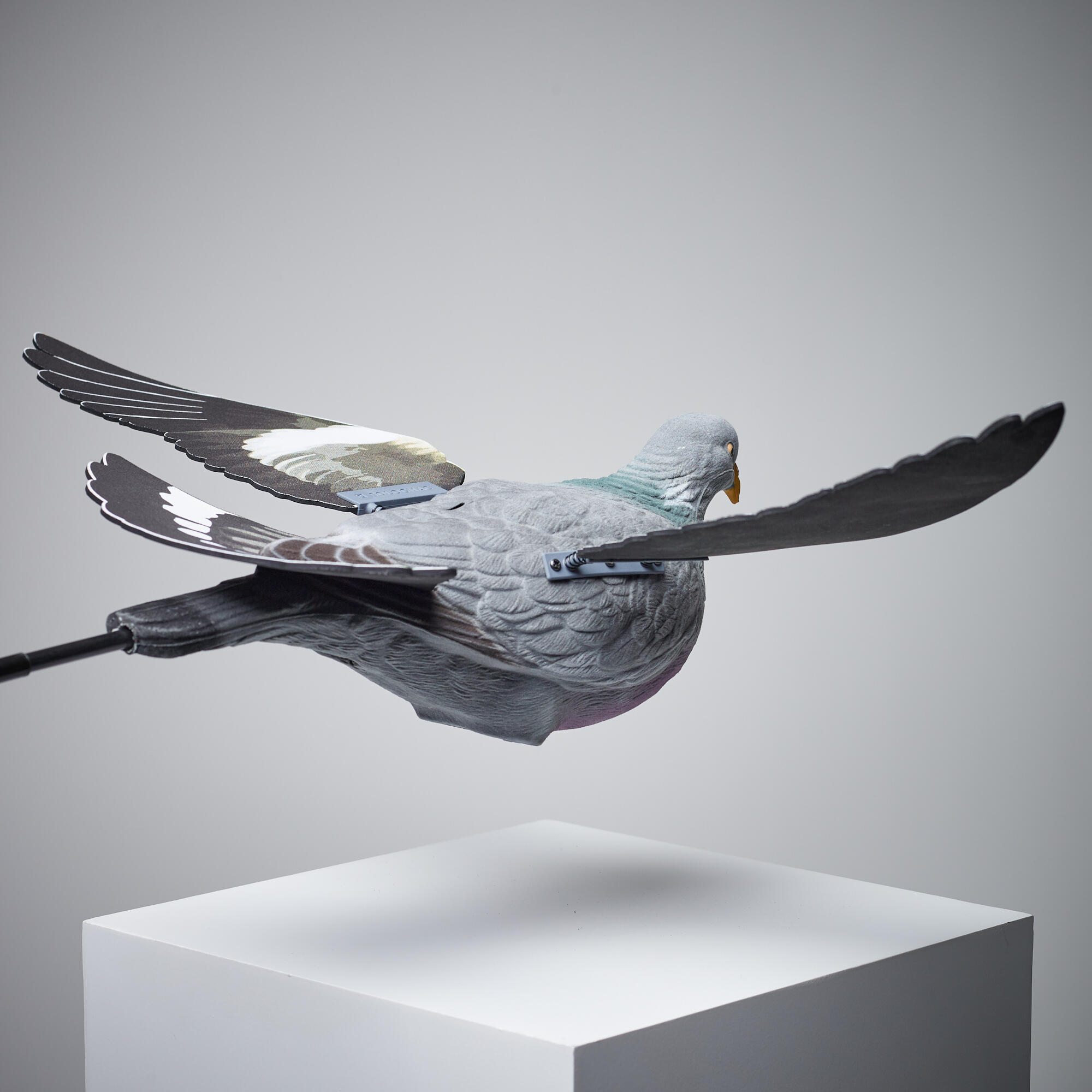 FORME PIGEON FLOTTANT A AILES BATTANTES 920 4/18