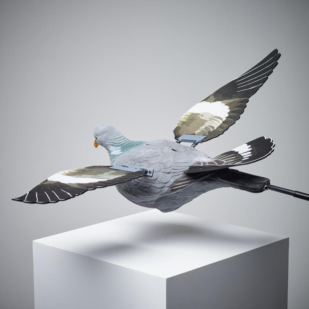 Balabán poletujúceho holuba s mávajúcimi krídlami 920