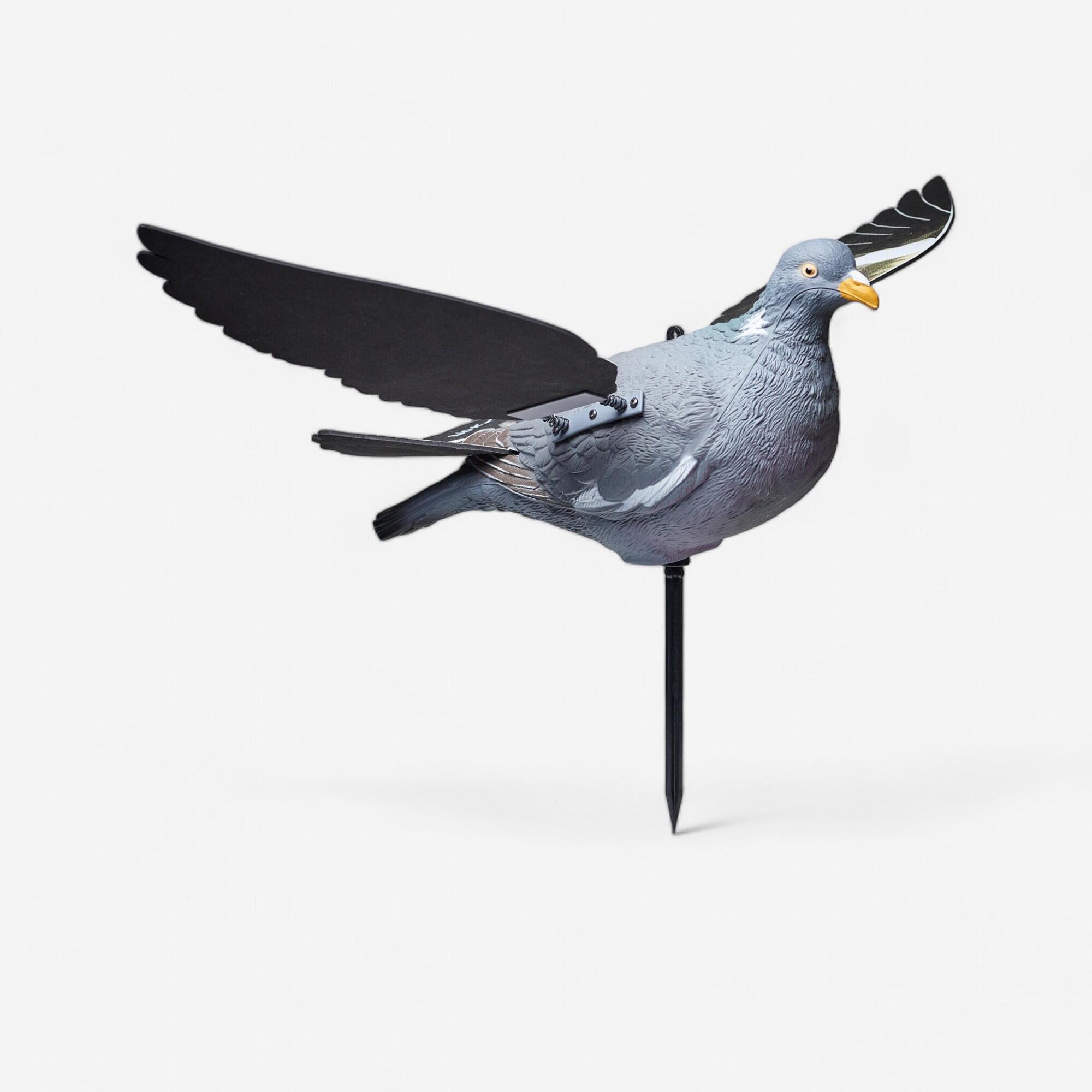 SOLOGNAC Lockvogel Taube 520 bewegliche Flügel | 03583787317570 SOLOGNAC Lockvogel Taube 520 bewegliche Flügel | 03583787317570